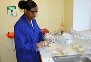 Carrying out tests on oil and water samples.